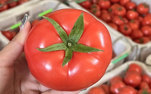 Mua cà chua đừng chọn trái đỏ rực căng mọng - người trồng lâu năm chỉ chọn 3 kiểu quả “xấu nhưng ngon” này