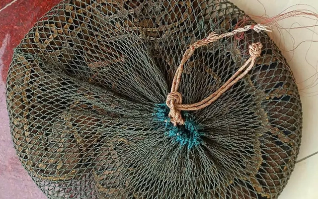 Trăn đất nặng hơn 10kg bò vào vườn nhà dân