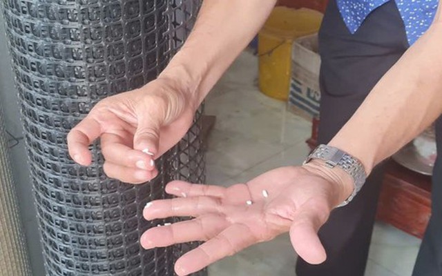 Phát hiện ‘gạo lạ’ ở Hậu Giang