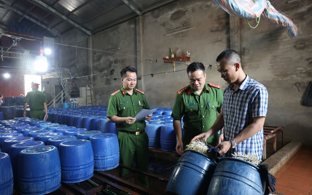 Sản xuất 60 tấn giá đỗ tẩm chất tăng trưởng, chủ cơ sở bị cấm đi khỏi nơi cư trú