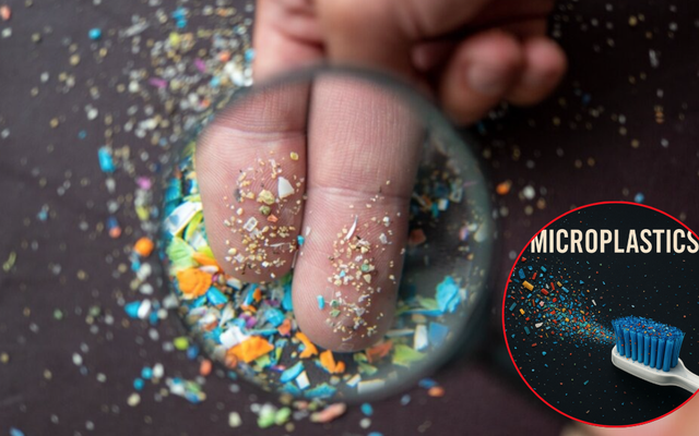 Không ai ngờ: Mỗi năm người Việt nuốt 49.000 hạt vi nhựa từ vật dụng quen thuộc này