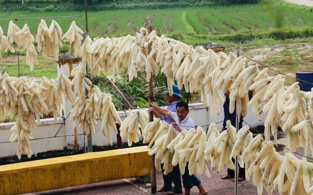 Thứ người Việt từng cho không ai lấy hóa ra là mặt hàng thượng hạng: Xuất 'đi Tây' có doanh thu khó tin