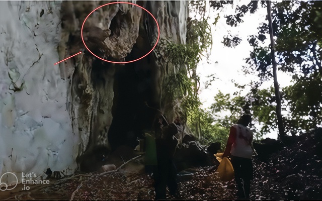 Lần theo manh mối được cung cấp tới vách đá, chuyên gia hân hoan tìm thấy loài "tuyệt chủng" hơn 170 năm
