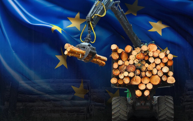 Vừa nhận "hộ chiếu xanh" đắt giá từ EU, doanh nghiệp Việt Nam "thở phào nhẹ nhõm"!