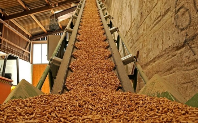 Thứ người Việt từng xem là phế phẩm, nay thành "mỏ vàng" xuất khẩu: Tiềm năng kiếm tỷ USD