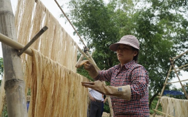 Thân cây bị bỏ đi biến thành "mặt hàng xanh" triệu đô, Việt Nam xuất khẩu tốp đầu thế giới