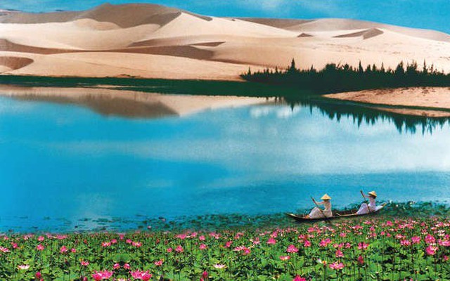 Đồi cát Trinh Nữ đẹp nghẹt thở, vì sao xuất hiện cảnh báo luôn cách xa 'tử thần' 100m?