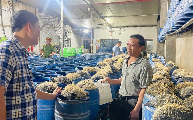 Lưu Văn Vẽ cấu kết với Tạ Văn Hải đưa 348 tấn giá đỗ độc hại ra thị trường: Chất cấm nào được sử dụng?