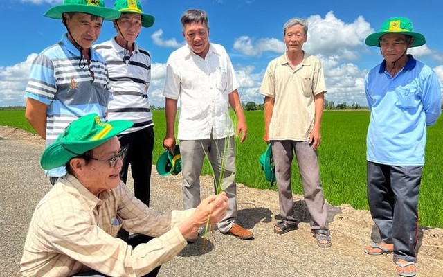DN phân bón khuyên người dân bón ít phân hơn và một con đường để tiếp cận thị trường 12.000 tỷ USD