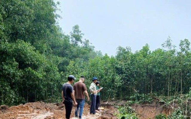 Hà Nội: 'Đất tặc' ngang nhiên phá hoại cây trồng của người dân, xúc trộm hơn 500m3 đất