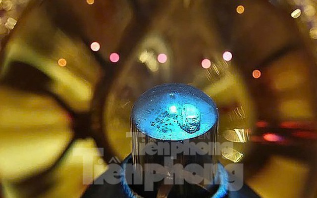 Tận mắt thấy Xá lợi Đức Phật lần đầu về Việt Nam