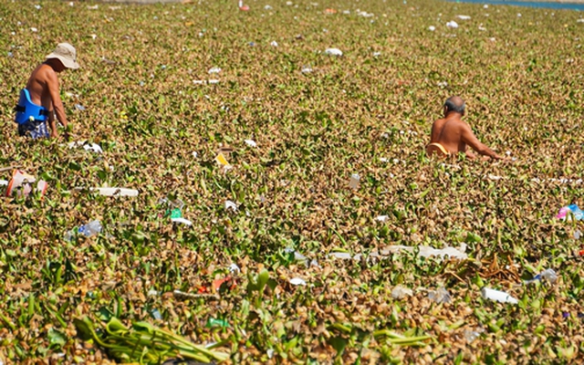 CLIP: Đến lượt Bãi Trước, TP Vũng Tàu xuất hiện "hình ảnh chưa từng thấy"