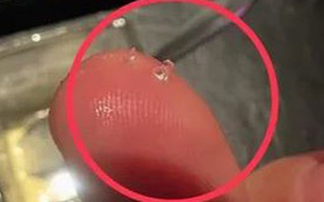 Đang ăn kem, người đàn ông "tái mặt" khi phát hiện thứ đáng sợ