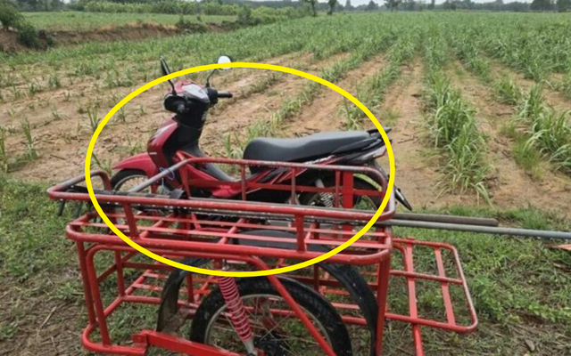 Không nghe lời khuyên của vợ, nhất quyết đi ra đồng lúc mưa gió, người đàn ông gặp cái kết bi thảm