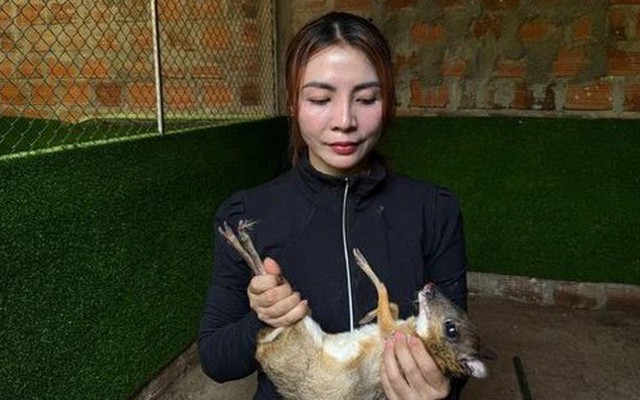 Mạnh dạn nuôi con vật có trong sách Đỏ, bán 10 triệu đồng/cặp, người phụ nữ thu lãi "khủng"