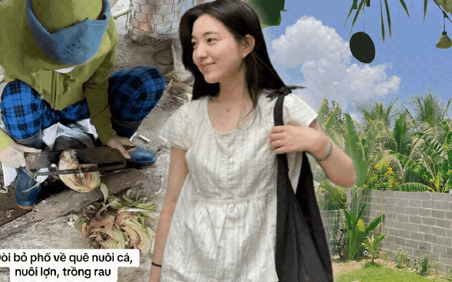 "Cuốc đất 5 phút thở không ra hơi, cày ruộng nửa ngày phải đi truyền nước": Ở phố mất job - ở quê mất sức