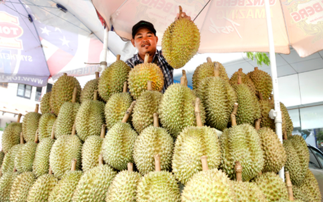 'Hàng xóm' của Việt Nam vừa chính thức gia nhập thị trường sầu riêng Trung Quốc: Quan chức gọi đây là 'thời khắc lịch sử', sản lượng ra sao so với các đối thủ?