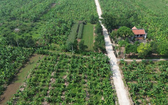 Hà Nội đề xuất cho xây công trình tạm trên đất bãi ven sông