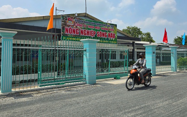 Nhiều vi phạm tại Nông trường Sông Hậu, Nông trường Cờ Đỏ