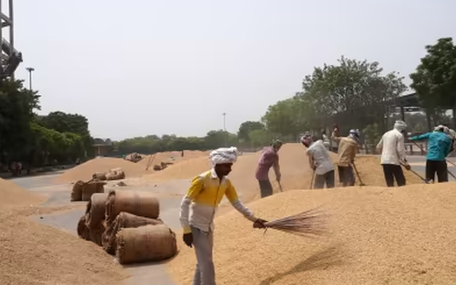 Một loại nông sản trời ban cho Việt Nam bất ngờ được Bangladesh săn mua: Xuất khẩu tăng hơn 81.000%, nước ta là 'trùm' thứ 3 thế giới