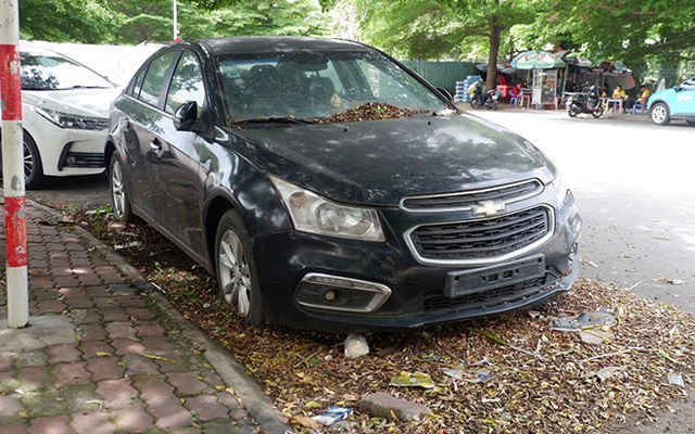 Ô tô đỗ cả năm ngoài đường không ai nhận, mọc cả cây trên kính xe ở TP.HCM: Nguồn cơn được hé lộ