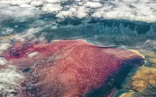 Kỳ lạ: Hồ nước đỏ như máu, biến động vật thành 'đá'