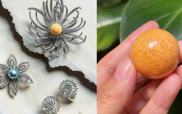 Hạt ngọc quý hiếm có ở Việt Nam: Đắt gấp nhiều lần ngọc trai, nhưng không phải ai cũng biết