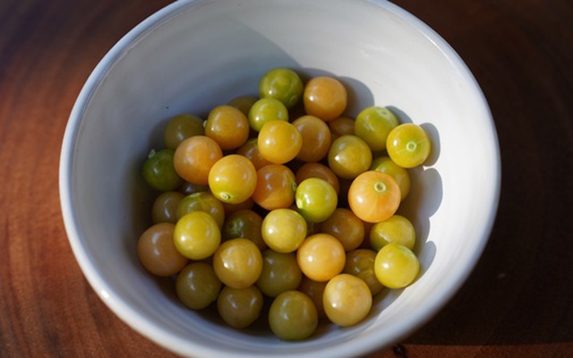 Việt Nam có loại quả dại, ít người ăn, sang Nhật có giá 2,9 triệu đồng/kg: Tiềm năng phòng ung thư