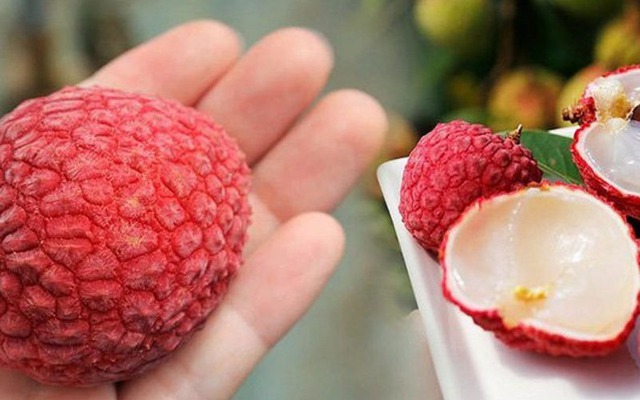 Dấu hiệu nhận biết quả vải bị sâu đầu, chỉ cần liếc mắt nhìn là nhận ra, không ai lừa nổi mình!