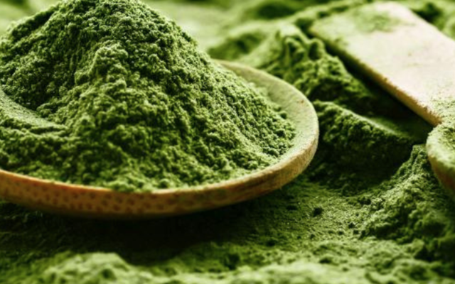 Loại rau người Việt dùng nuôi lợn, gà hóa ra có thể "giải cứu thế giới": Là "thần dược" dân gian