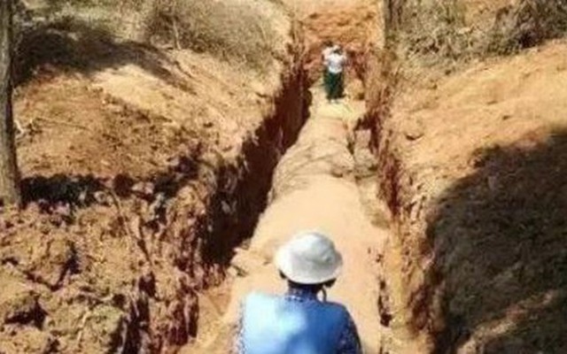 Đang làm ruộng, lão nông bất ngờ phát hiện khúc gỗ trị giá 600 tỷ đồng