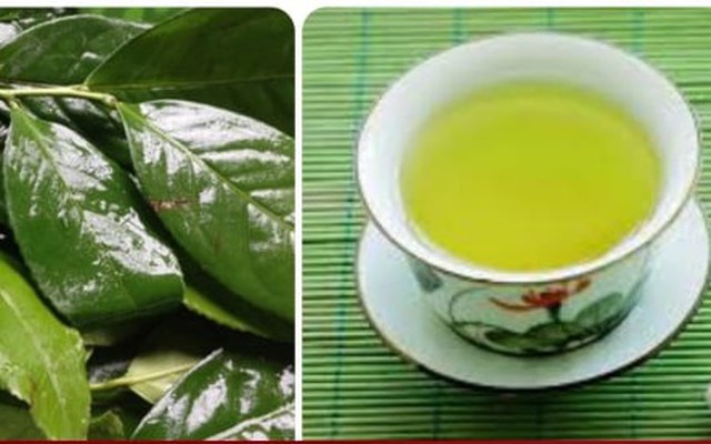 Những sai lầm khi uống nước chè xanh gây hại cho thận