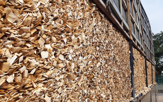 Mỹ đổ hơn 3 tỷ USD săn 'cây kim tiền' của Việt Nam: thuế nhập khẩu 0%, nền kinh tế số 1 thế giới là khách VIP của nước ta