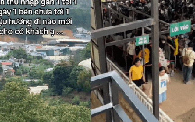 Nỗi niềm của chủ quán cafe thú cưng ở Đà Lạt: Làm mô hình giống hệt, "bên thu nhập gần 1 tỷ/ngày, mình chưa đến 1 triệu"?