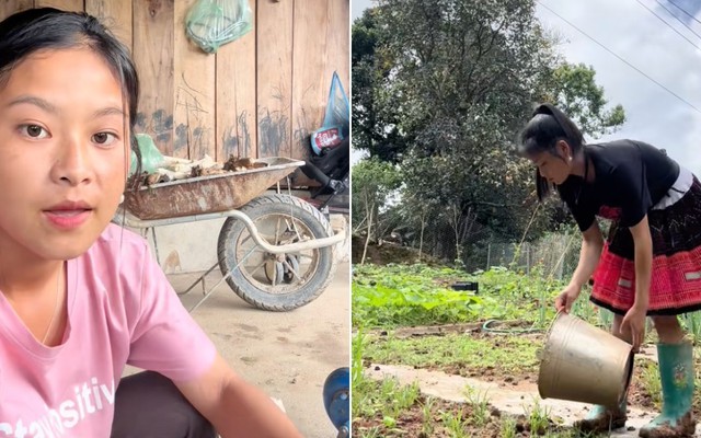 Sùng Bầu gặp vấn đề tâm lý, dừng kinh doanh