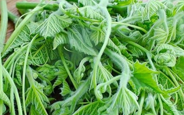 Cách chế biến loại rau bổ ngang thịt, ăn thường xuyên giúp sáng mắt, đẹp da