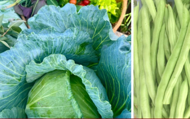 Chuyên gia kể tên những loại rau mùa hè dễ 'ngậm' hóa chất nhất