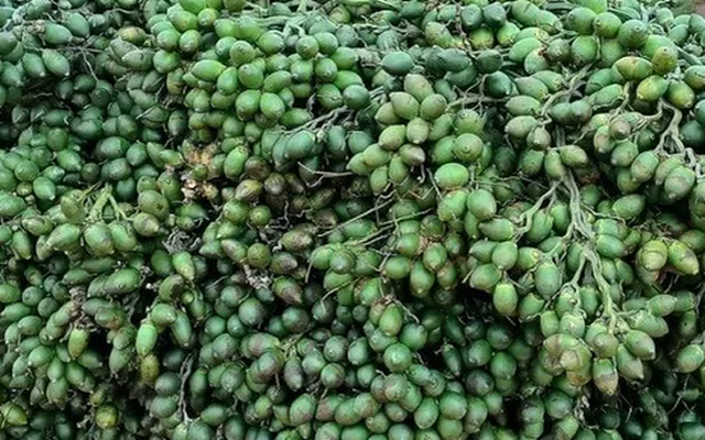 Từng tăng nhập khẩu 1.200%, một mặt hàng từ Trung Quốc đổ bộ ngược trở lại Việt Nam, nước ta chi gần 300 tỷ đồng mua hàng