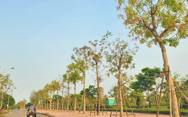 Quảng Bình: Cán bộ bị kỷ luật từ 2020 đến nay sẽ không được bổ nhiệm cao hơn