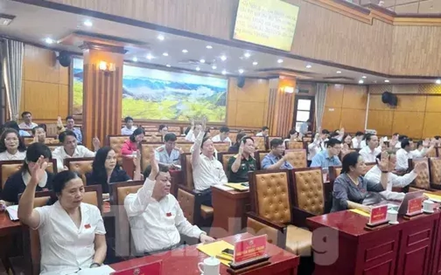 Cho thôi làm Đại biểu HĐND tỉnh Lạng Sơn do vi phạm sử dụng chứng chỉ giả