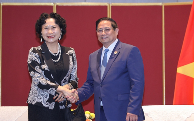 Gặp Thủ tướng, chuyên gia của đặc khu kinh tế thành công nhất Trung Quốc sẵn sàng hợp tác với Việt Nam