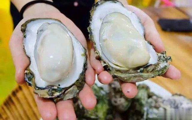 Khi mua hàu, đừng mua 3 loại hàu này: Chủ cửa hàng hải sản không bao giờ để người nhà ăn