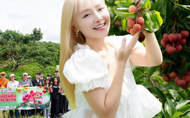 Dàn Content Creator đình đám "đổ bộ" vườn Vải Lục Ngạn, chuyện gì xảy ra?