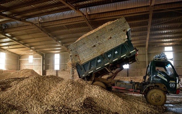 Thứ người Việt từng vứt đi nay thành “mỏ tiền” tiềm năng, sản phẩm được thế giới săn đón