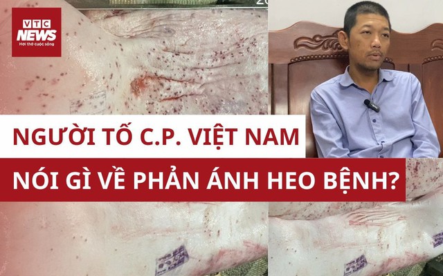 Người tố C.P. Việt Nam trà trộn heo bệnh tiết lộ thông tin mới gây sốc