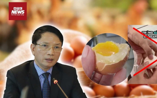 Câu view ‘trứng gà giả': Sinh kế của người chăn nuôi gia cầm bị bóp nghẹt