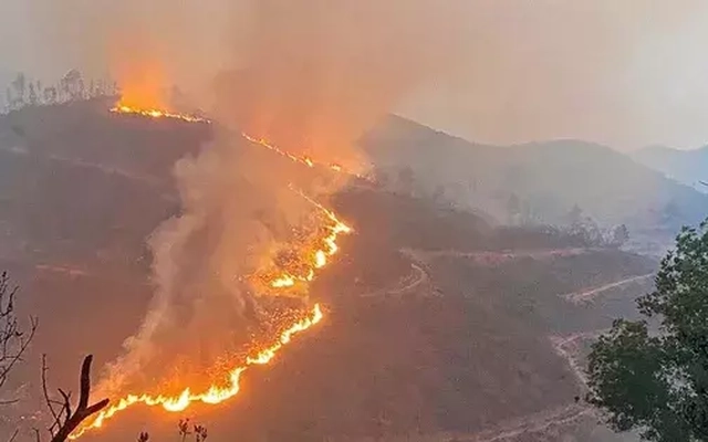 Một phụ nữ tử vong khi đốt lá dọn rừng để trồng cây mới