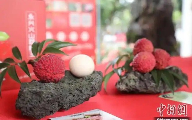 Quả vải to bằng quả trứng gà được bán với giá gần 250 triệu đồng: Nông dân vui mừng, cả vùng trồng được hưởng lợi nhờ lợi thế độc đáo