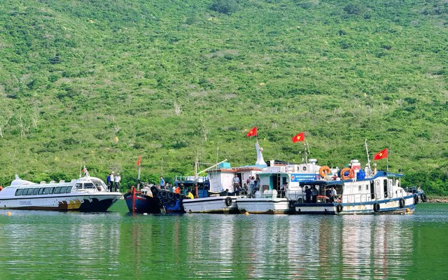 Tái tạo nguồn lợi, phục hồi rạn san hô vịnh Nha Trang - Hướng tới xây dựng cộng đồng biển xanh