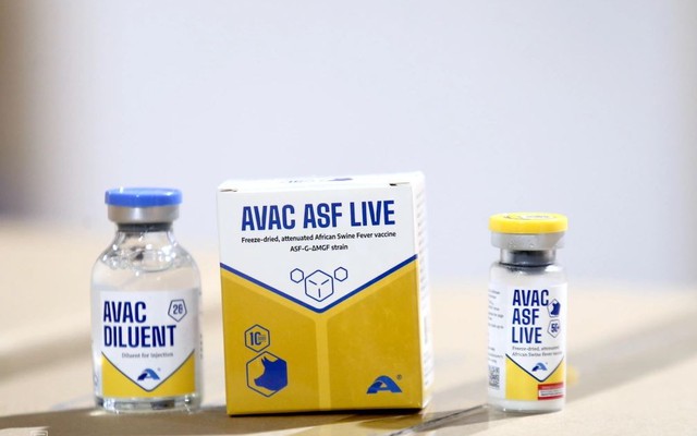 1 vaccine Việt có bước tiến đáng nể trên trường quốc tế: Chất lượng vượt trội, đoạt giải xuất sắc nhất